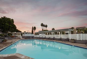 Shimmering swimming pools